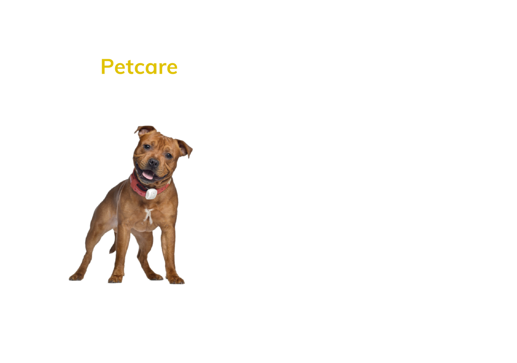 pet tracking