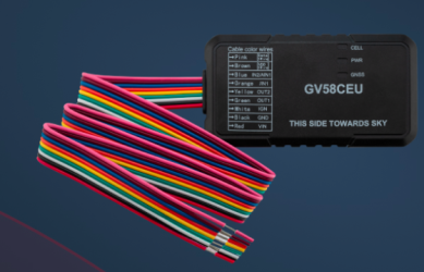 Queclink GV58CEU