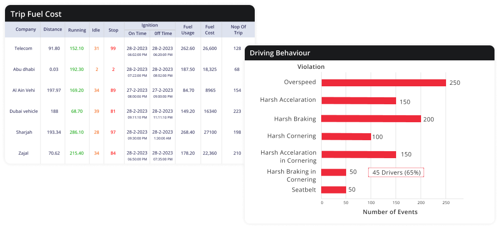 Reports and analytics