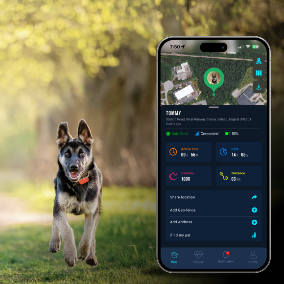 Dog tracking on app