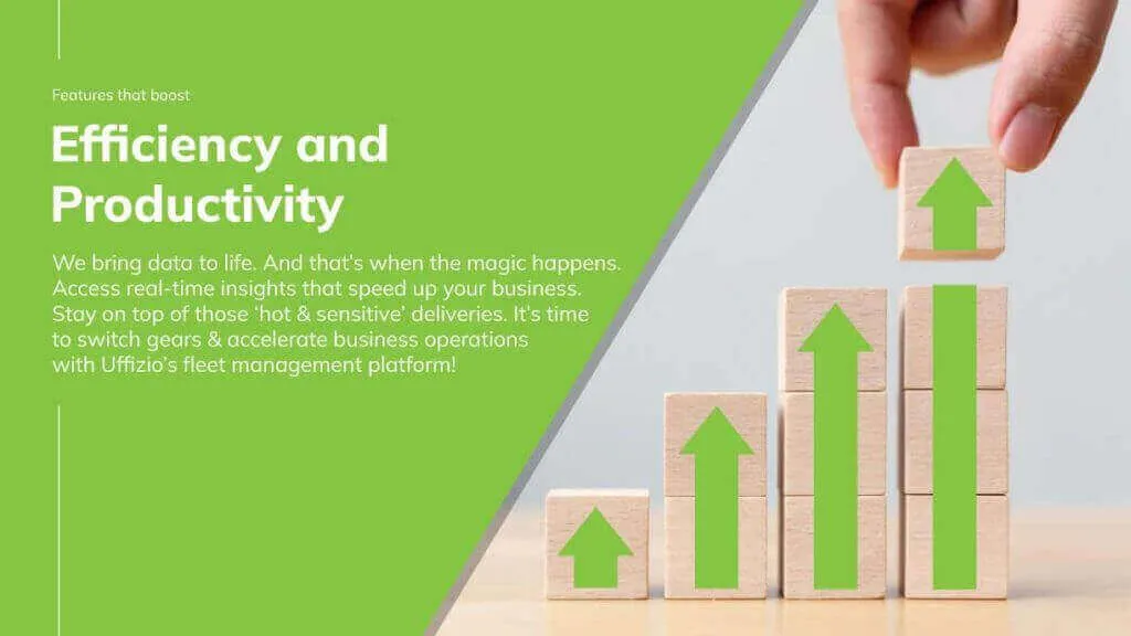 Efficiency and Productivity eBook