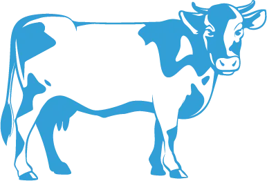 cow-vector-image