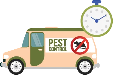 pest control image-4