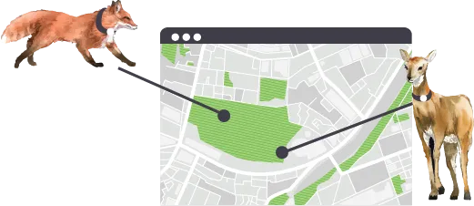 animal tracking