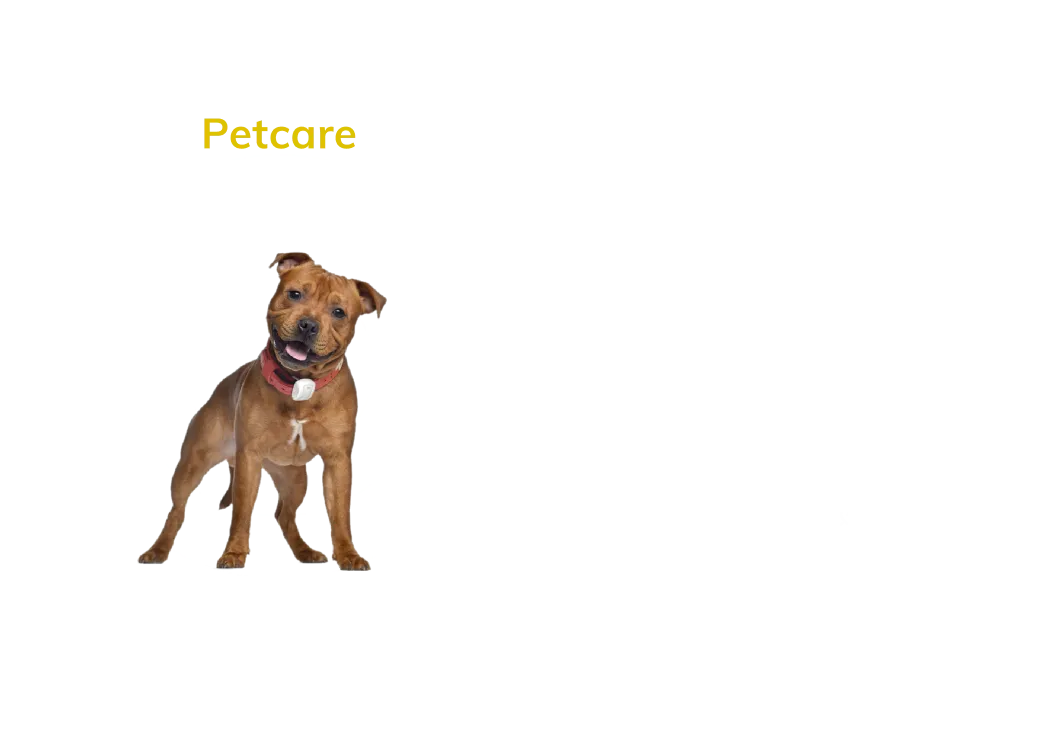 pet tracking