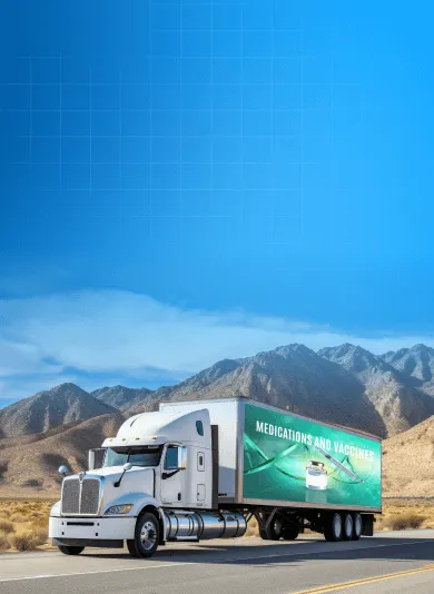 Temperature Monitoring in Medicine Transportation 