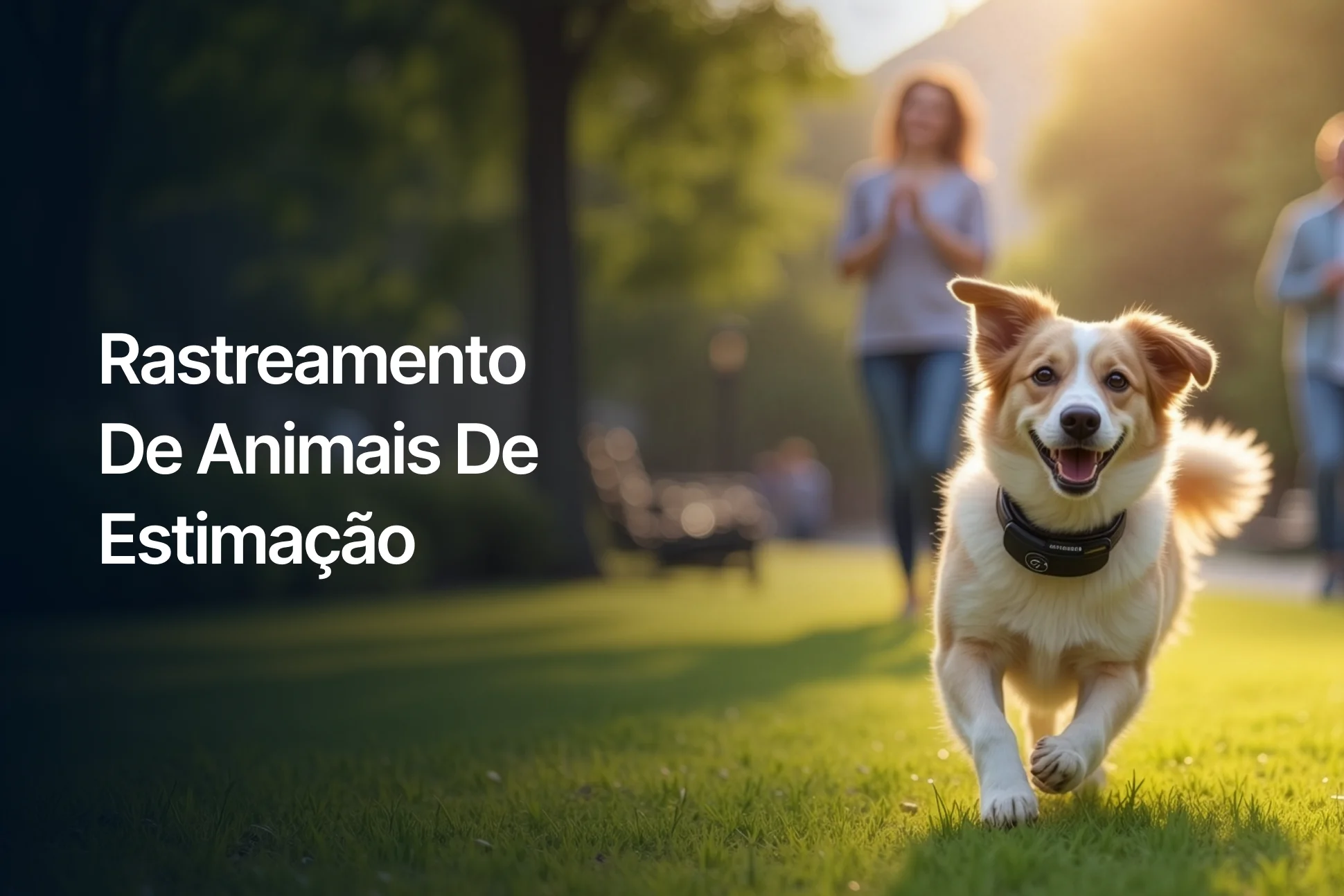 Pet Tracking Industry