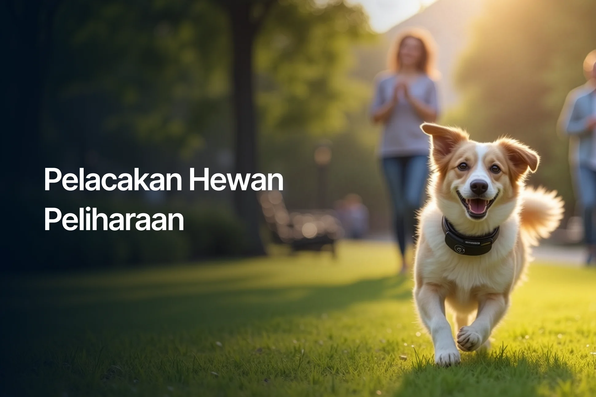 Pet Tracking Industry