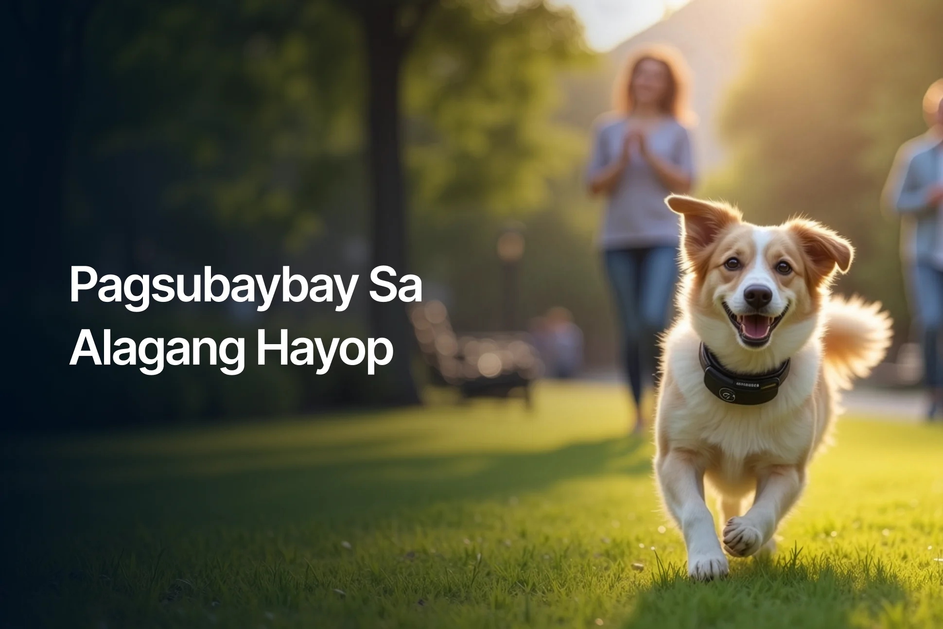 Pet Tracking Industry