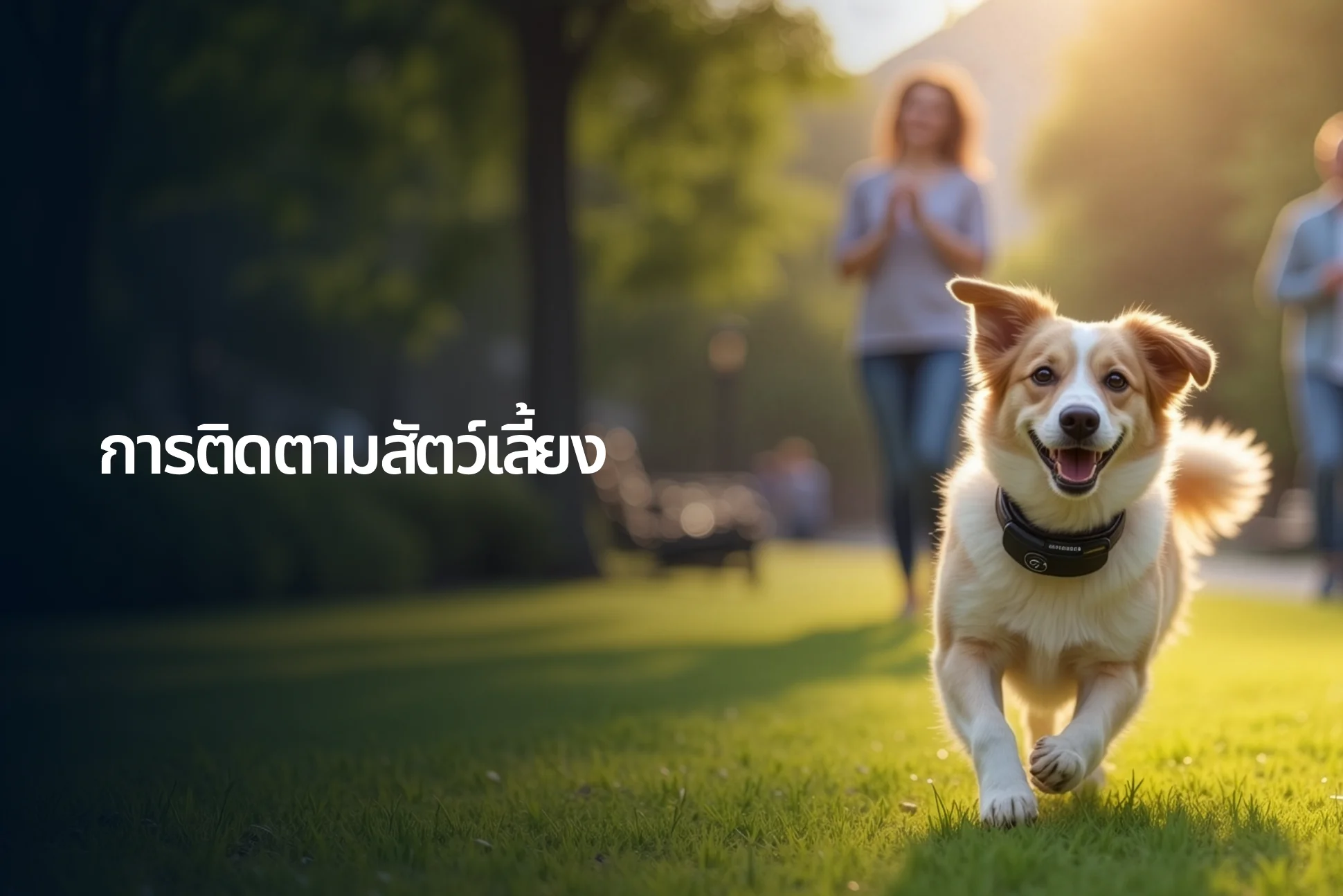 Pet Tracking Industry