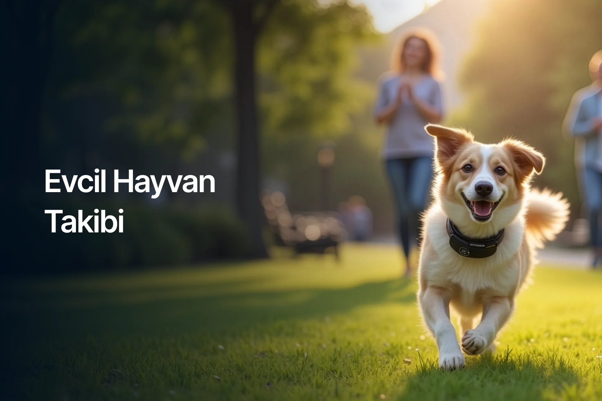 Pet Tracking Industry