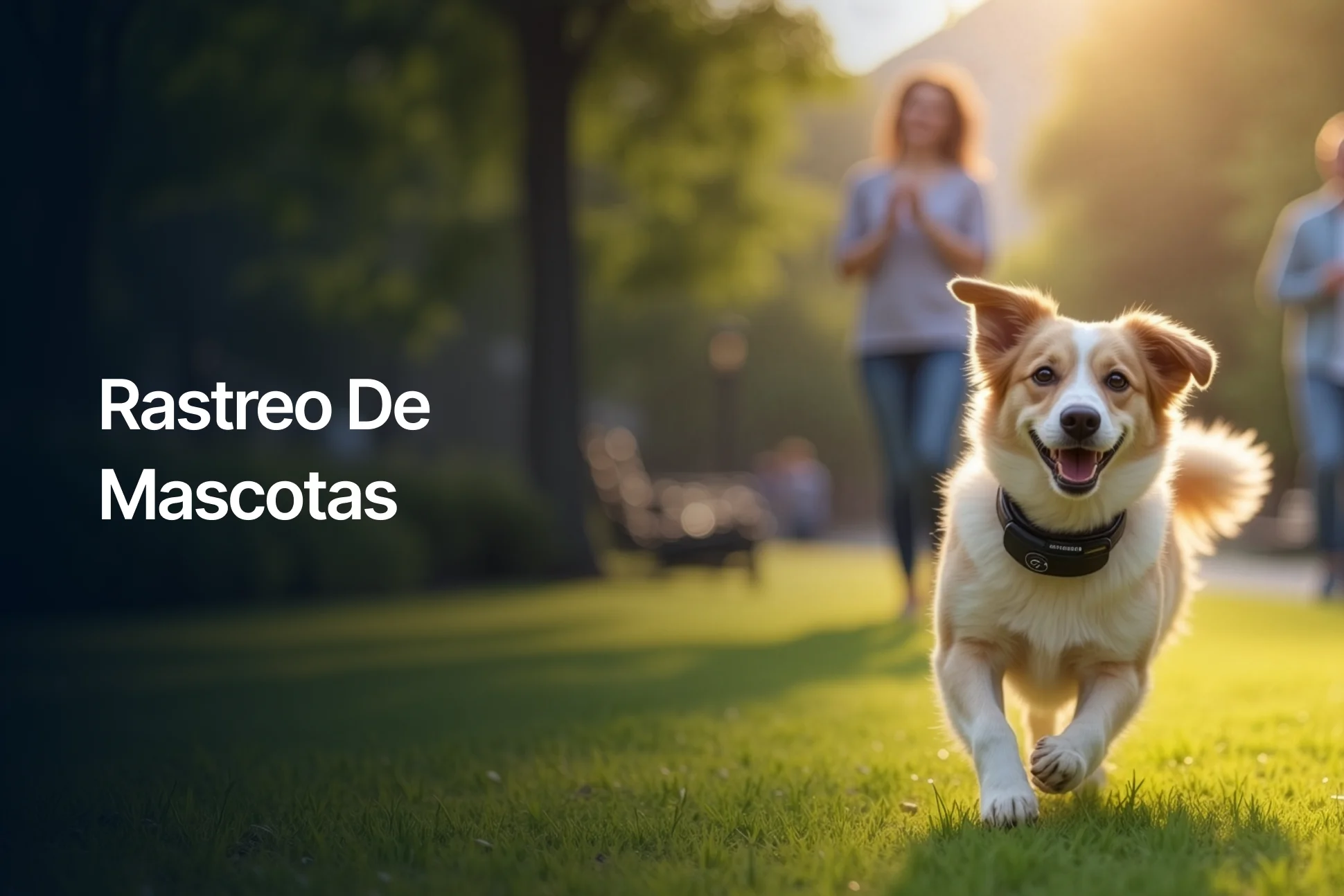 Pet Tracking Industry