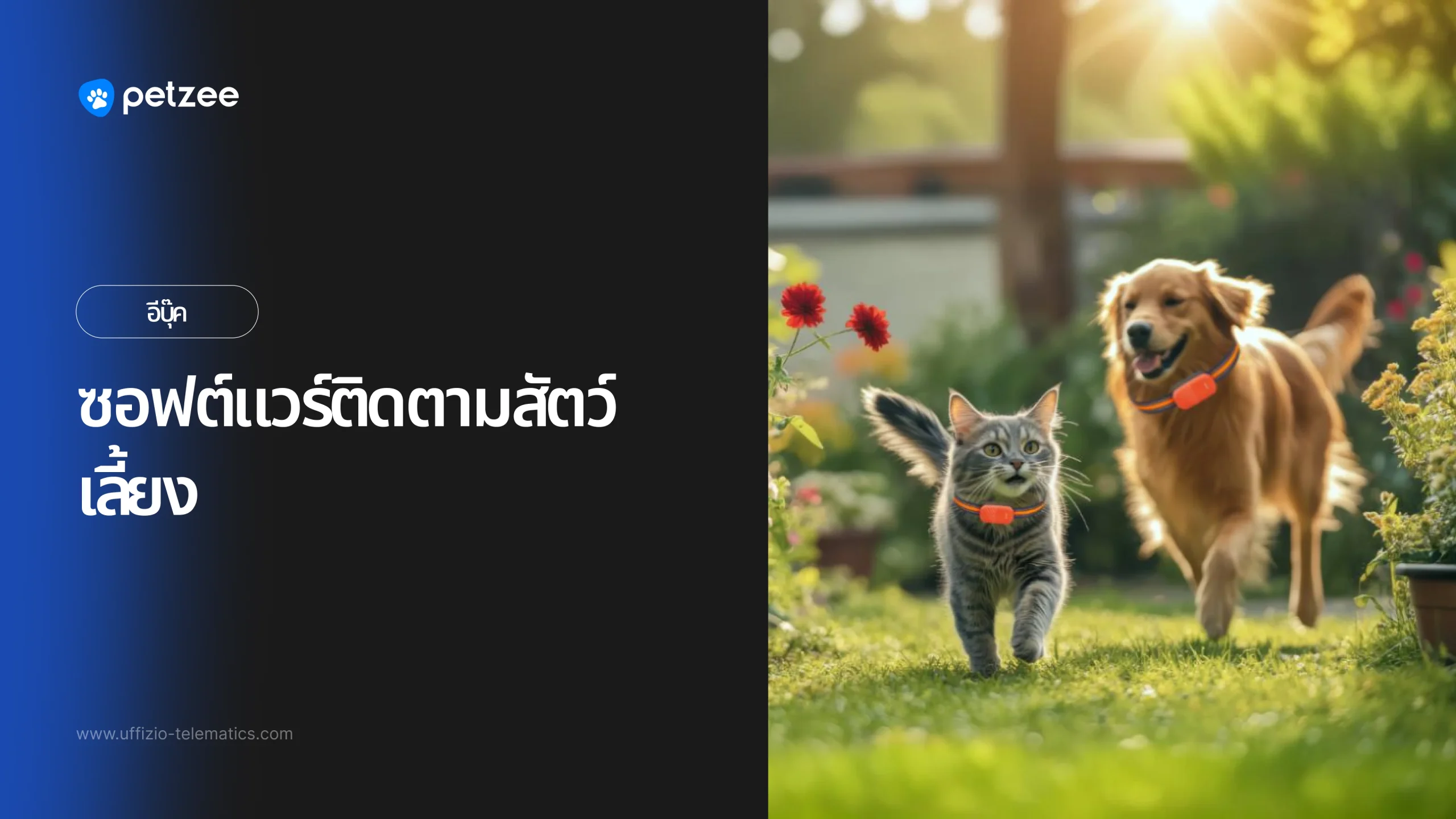 Petzee eBook – Pet tracking software