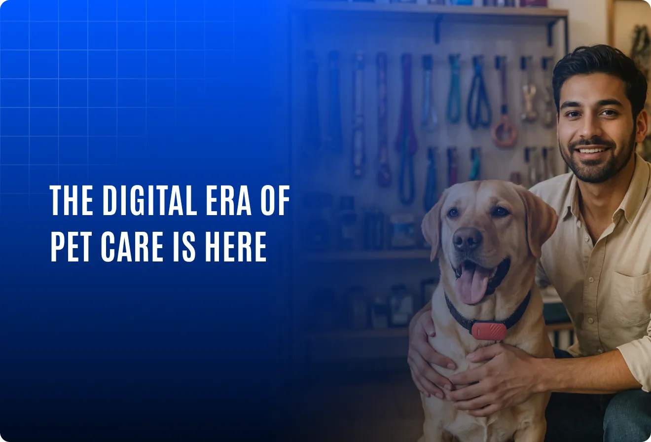 Pet care is going digital: Here’s what that means for shops, services, and startups