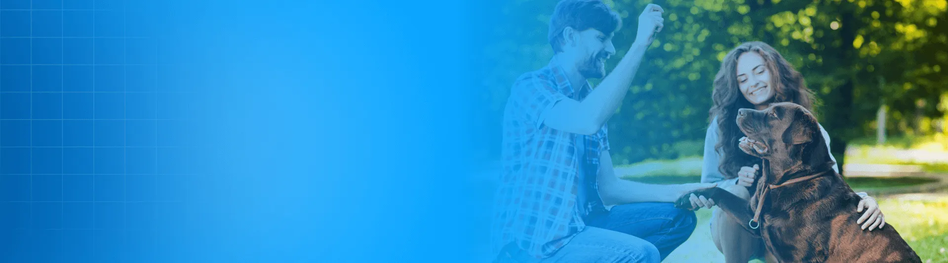 Pet Tracking Software for Pet Owners and Businesses