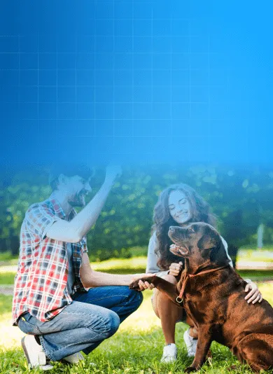 Pet Tracking Software for Pet Owners and Businesses
