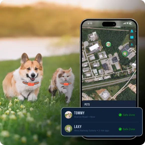 Multi-Pet Monitoring