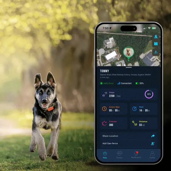 Live Location Tracking