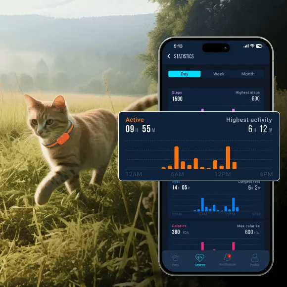 Pet Activity Tracking