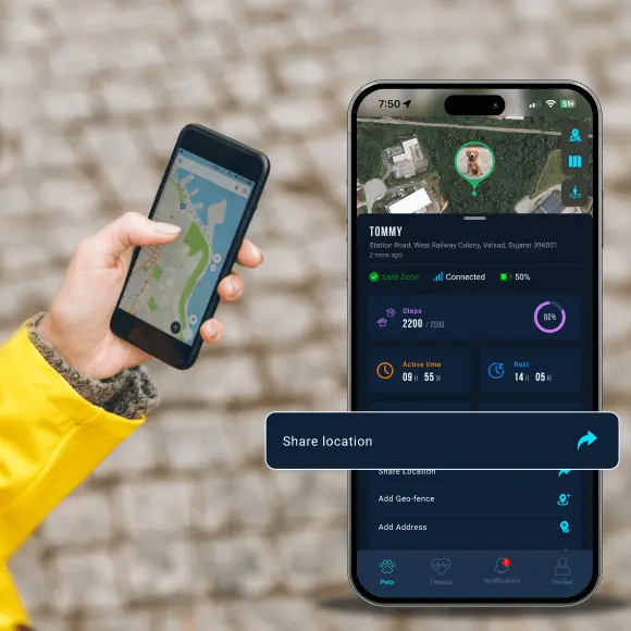 Share Location Access
