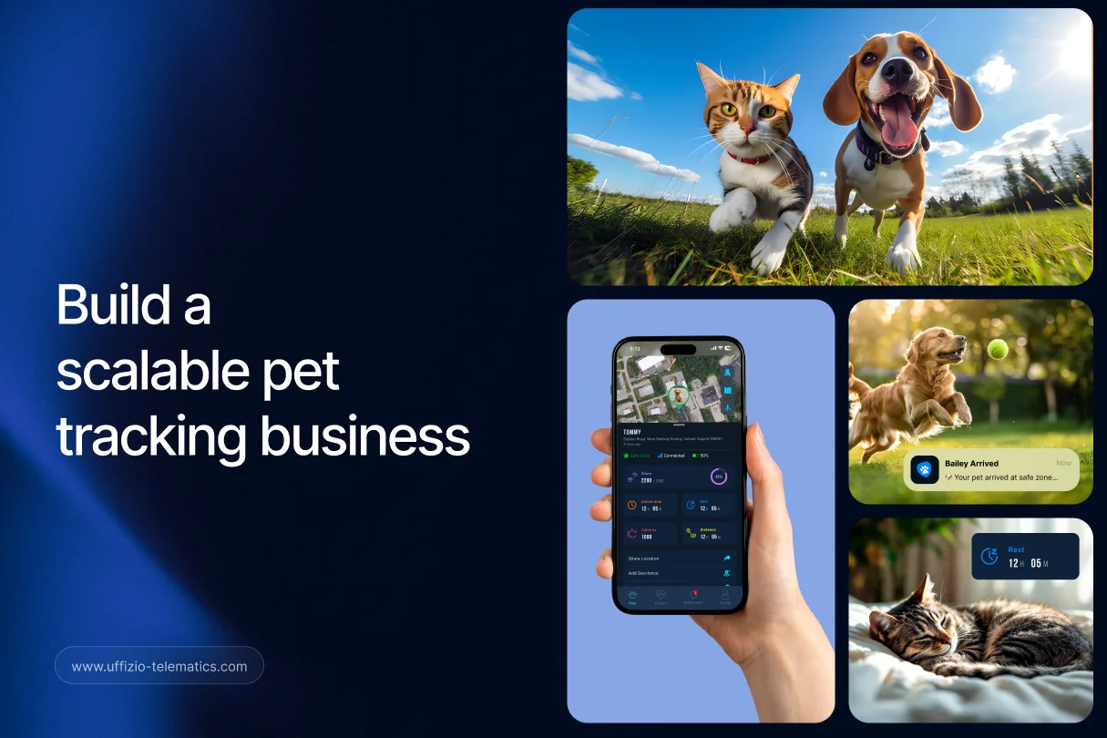 GPS Pet Tracking System for Resellers: Build a Scalable Pet Tracking Business
